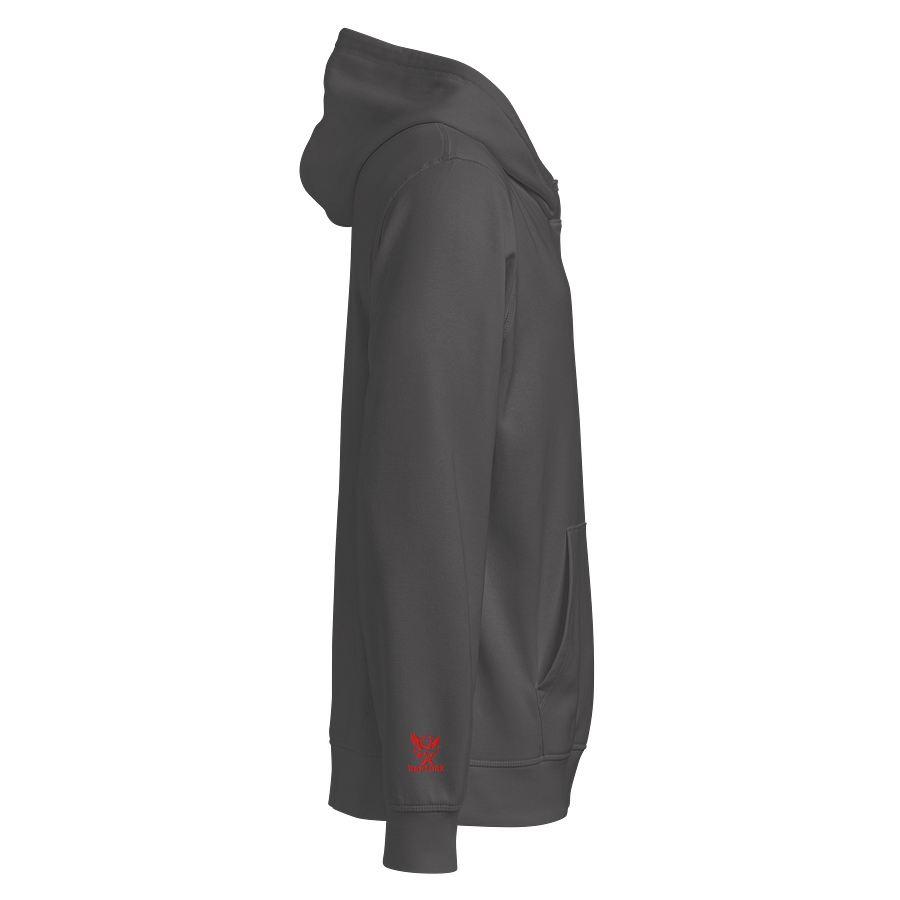 Raptor X Eagle Logo Organic Hoodie product image (25)