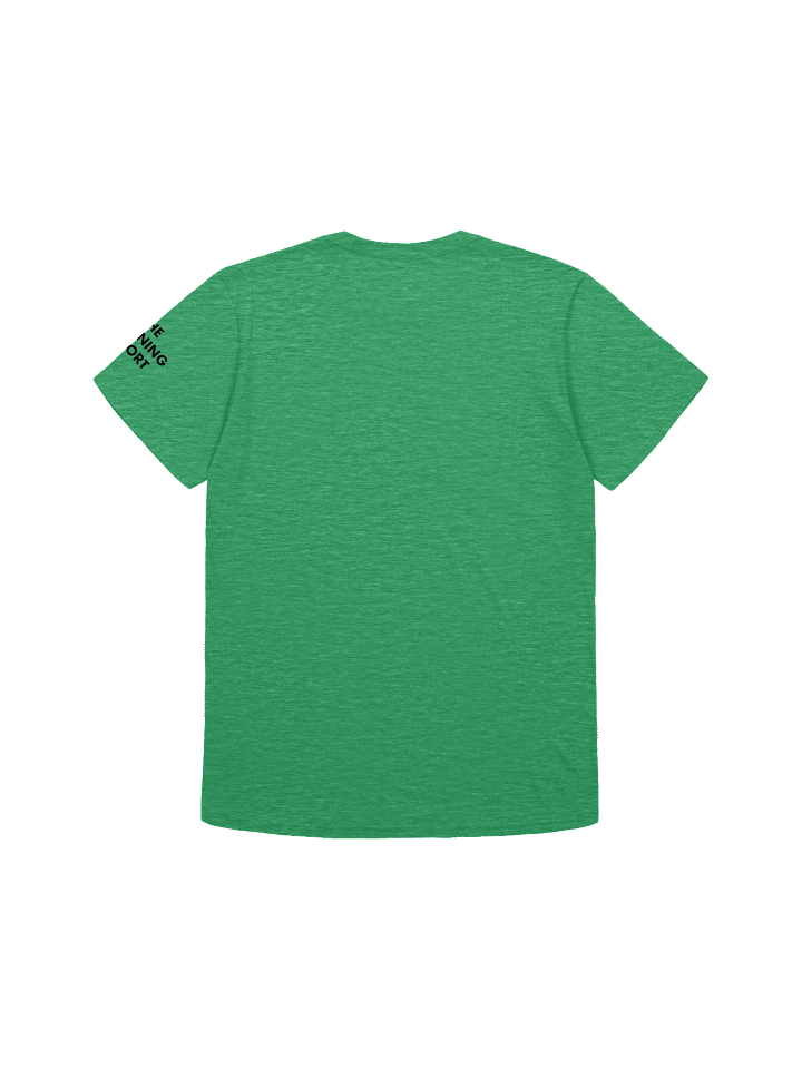 FreeDC Summer Protest Flag T Shirt product image (2)