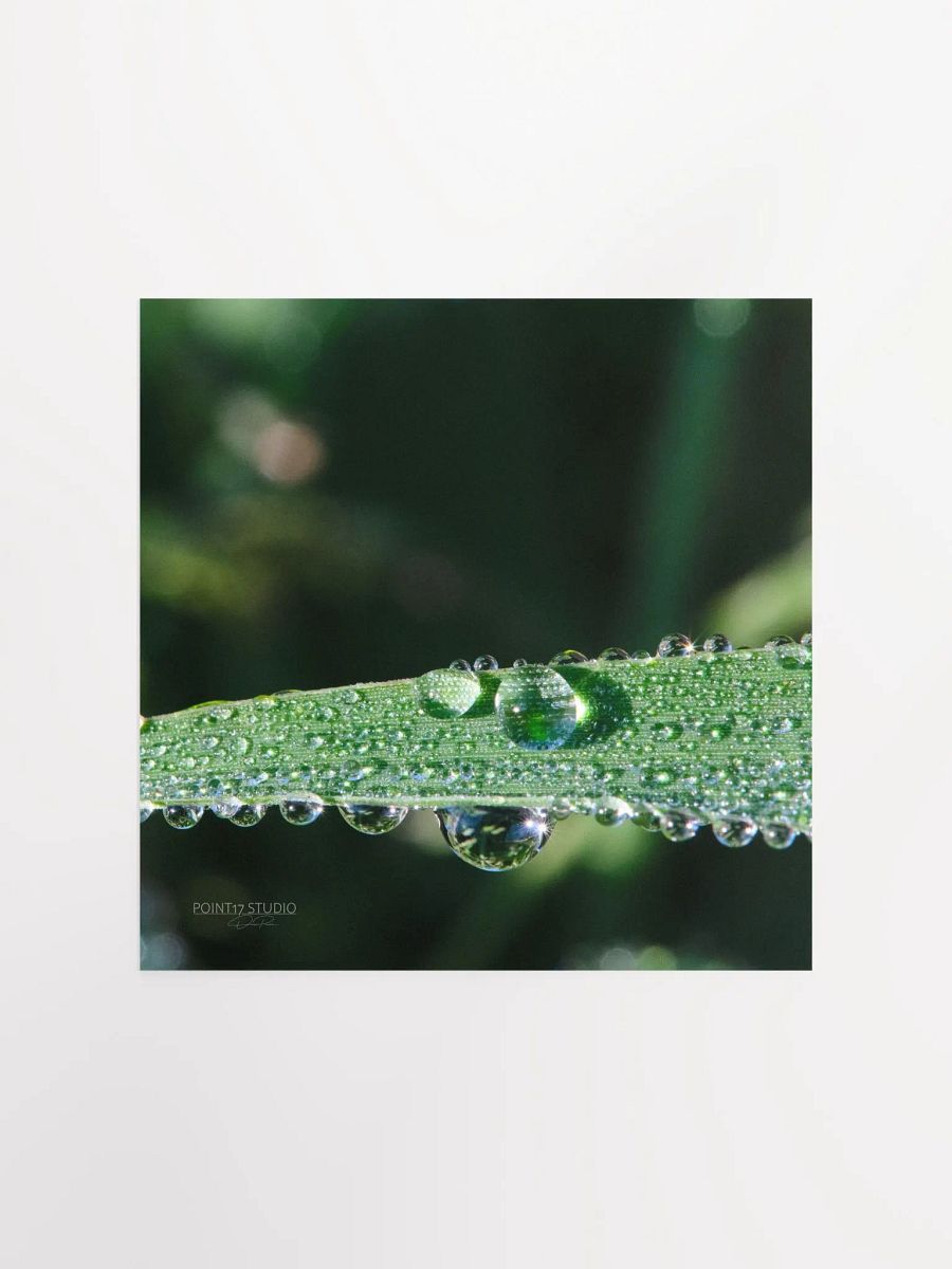 Dew Gems #2 - Print product image (3)