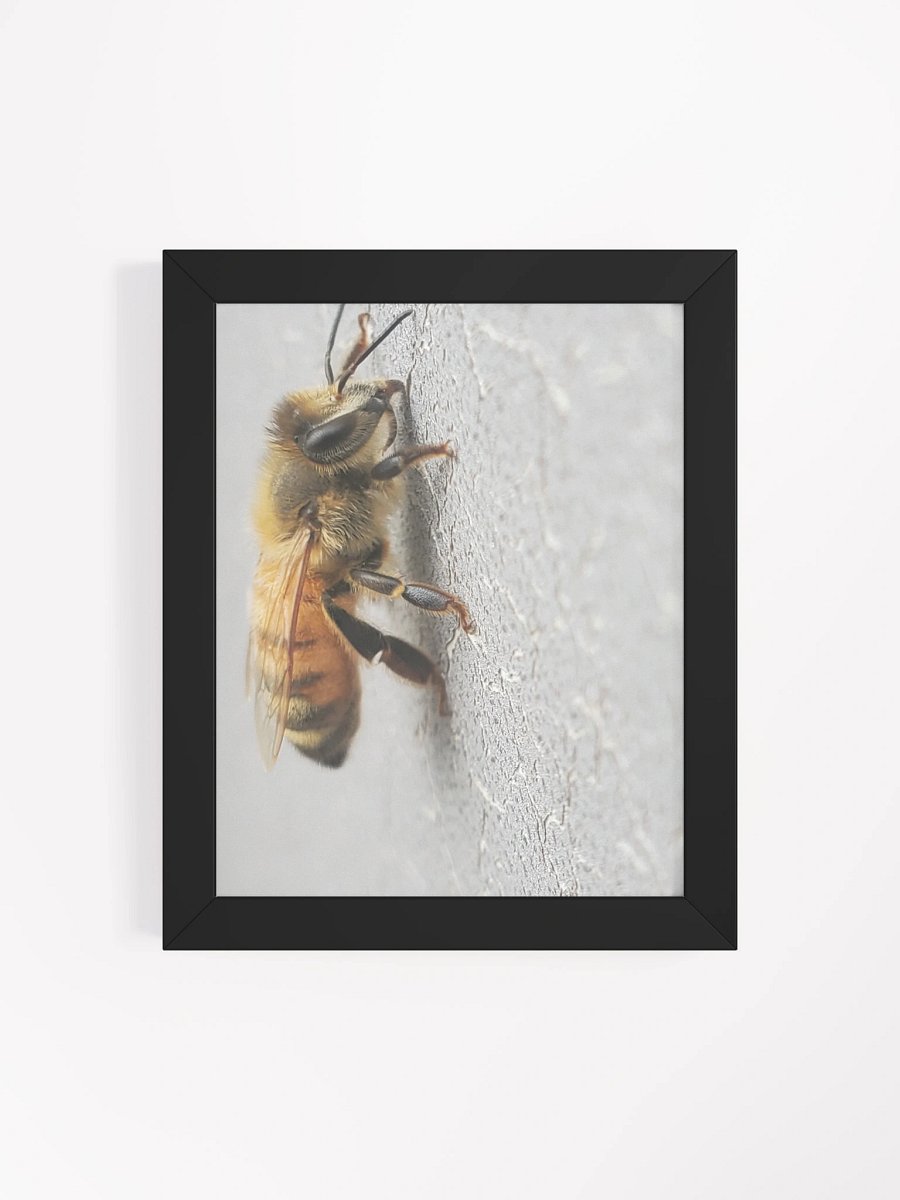 Buzzing Beauty Framed Matte Poster product image (7)