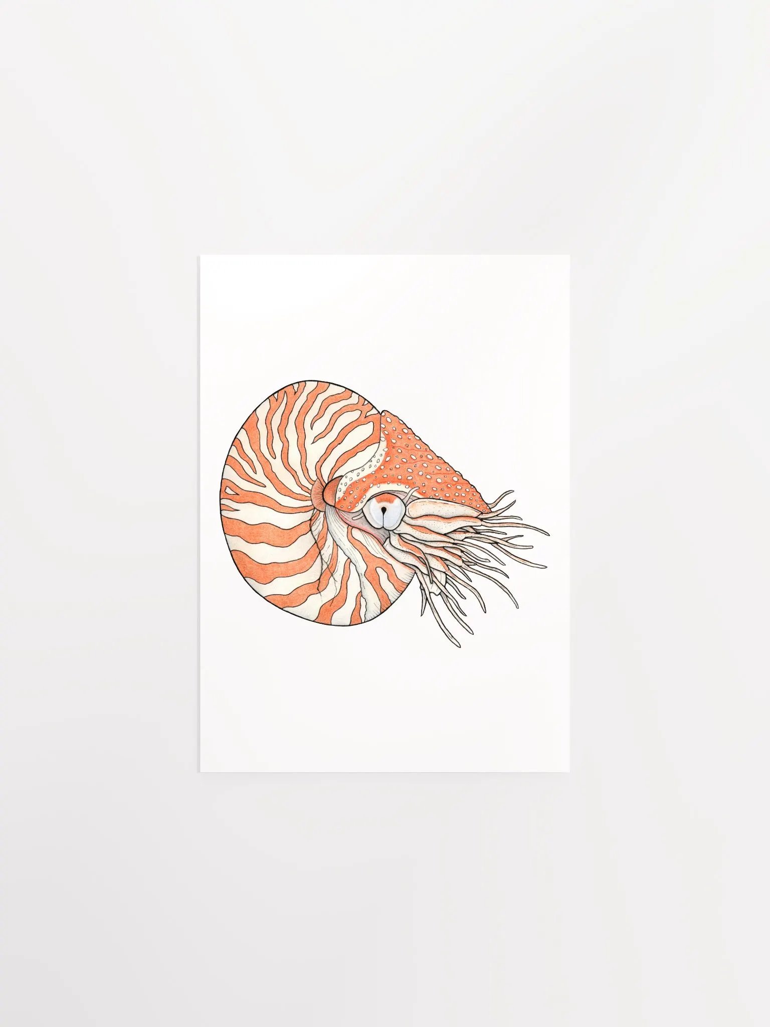 Ancient Mollusk print product image (1)