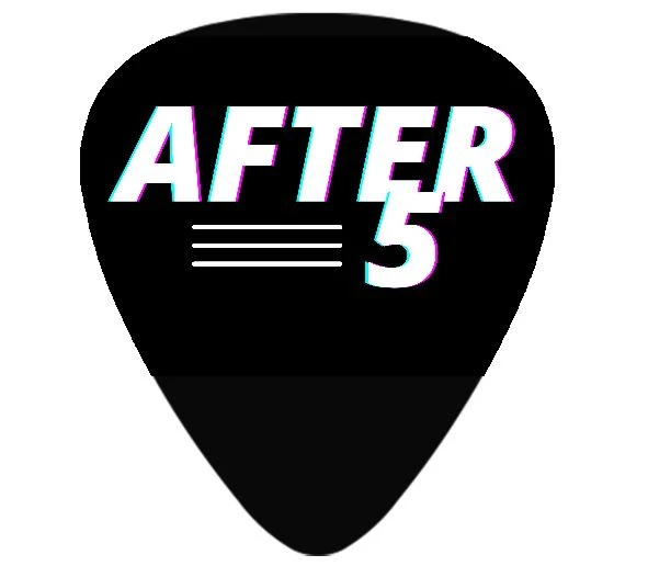 AFTER 5 Guitar Pick product image (1)