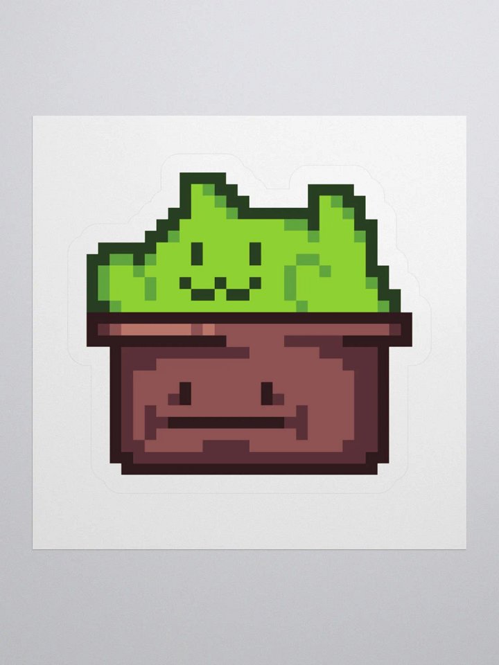 Bongo Plant product image (1)