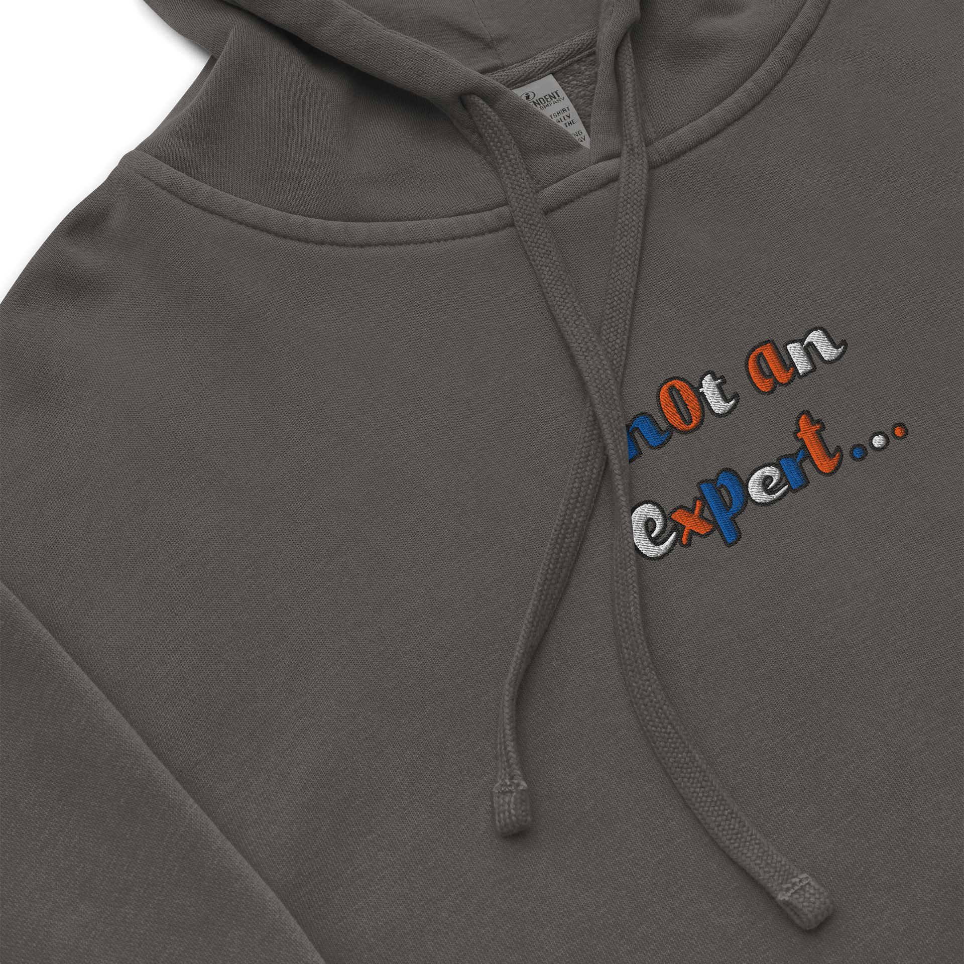 "not an expert..." Official Colour Hoodie product image (5)