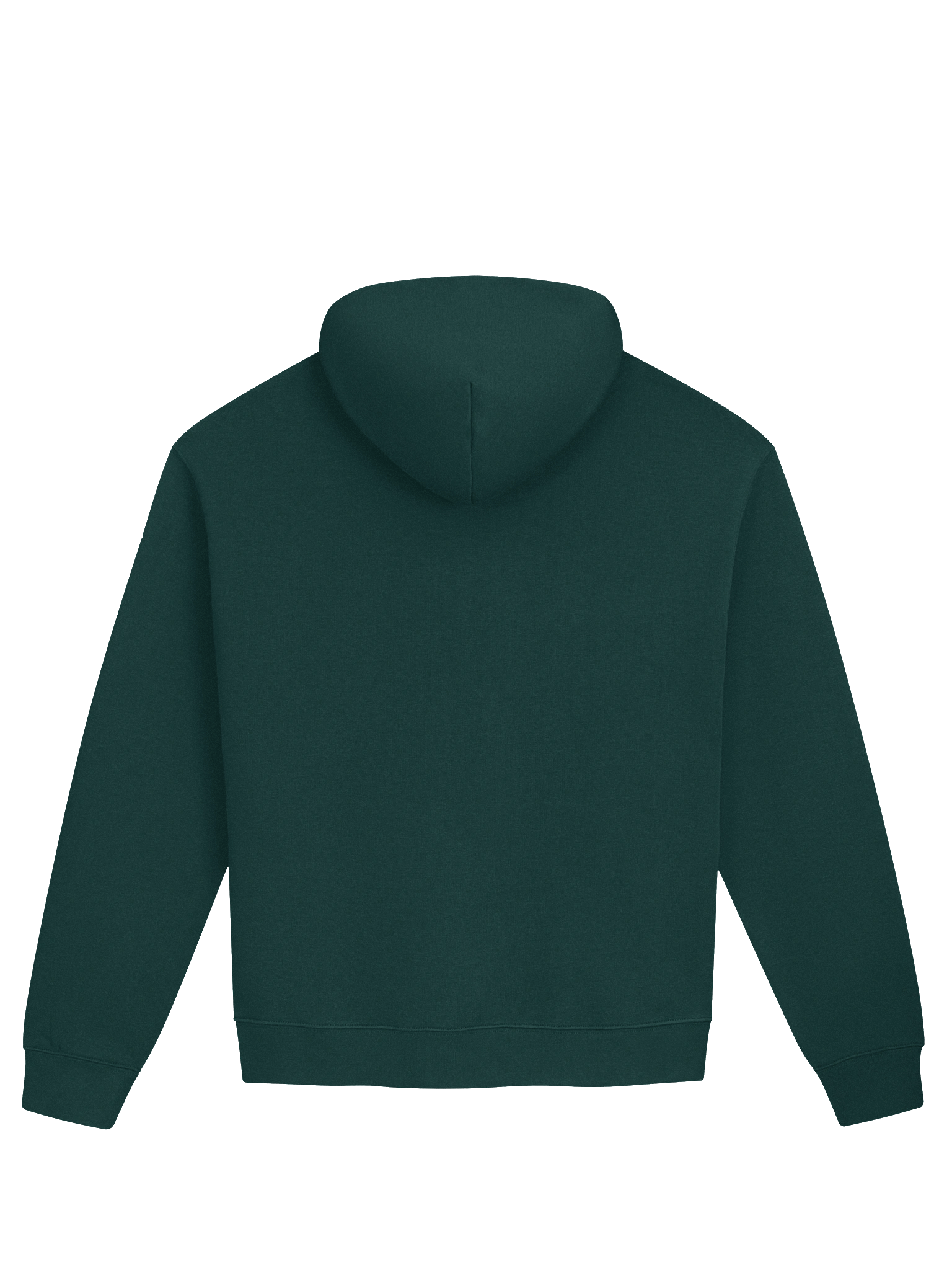 RICH – Risk Stylized Hoodie product image (3)