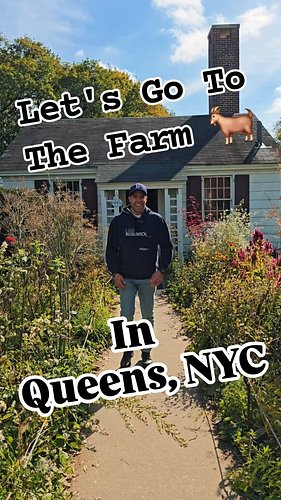 🐮🐷🐔Discover a farm in Queens that's filled with fun all year round and for everyone! I had fun with a goat, picked pumpkins a...