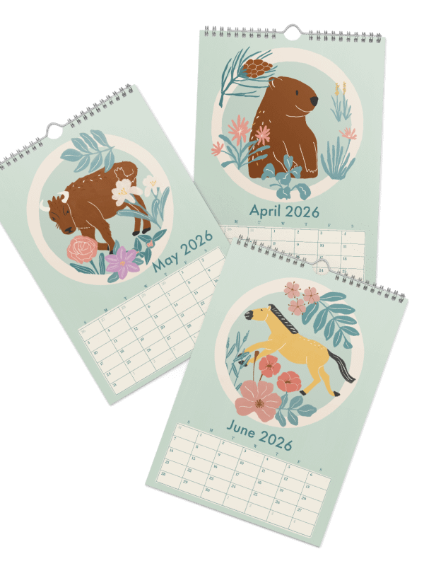 Swiss Wildlife 2026 Wall Calendar – Nature-Inspired Animal Art for Kids, Families & Nature Lovers product image (11)