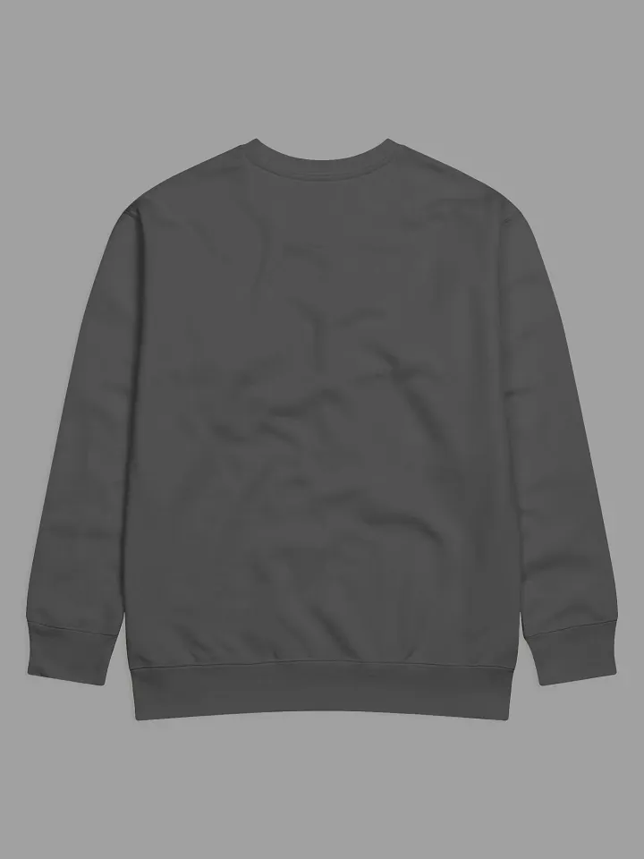 Cognitive Dissonance Sweatshirt product image (2)