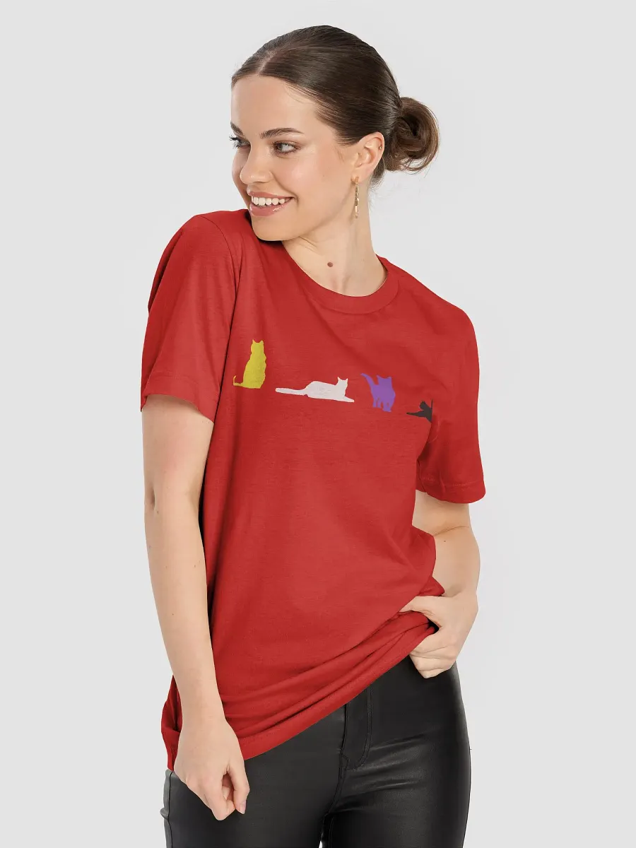 Nonbinary Pride Cats Women's Shirt product image (81)