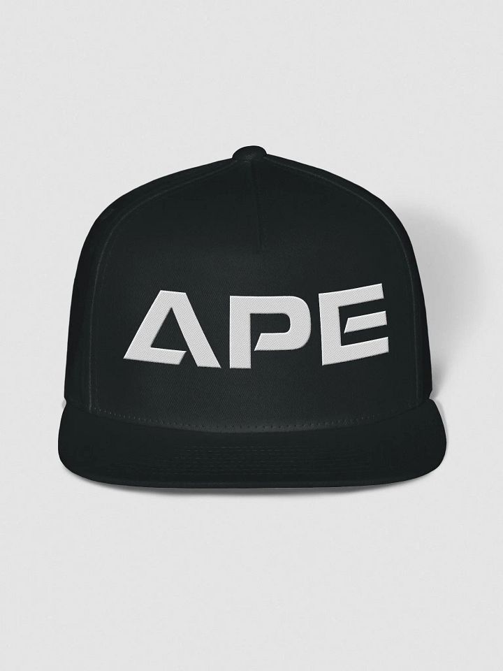 APE SNAPBACK (new logo, back) product image (5)