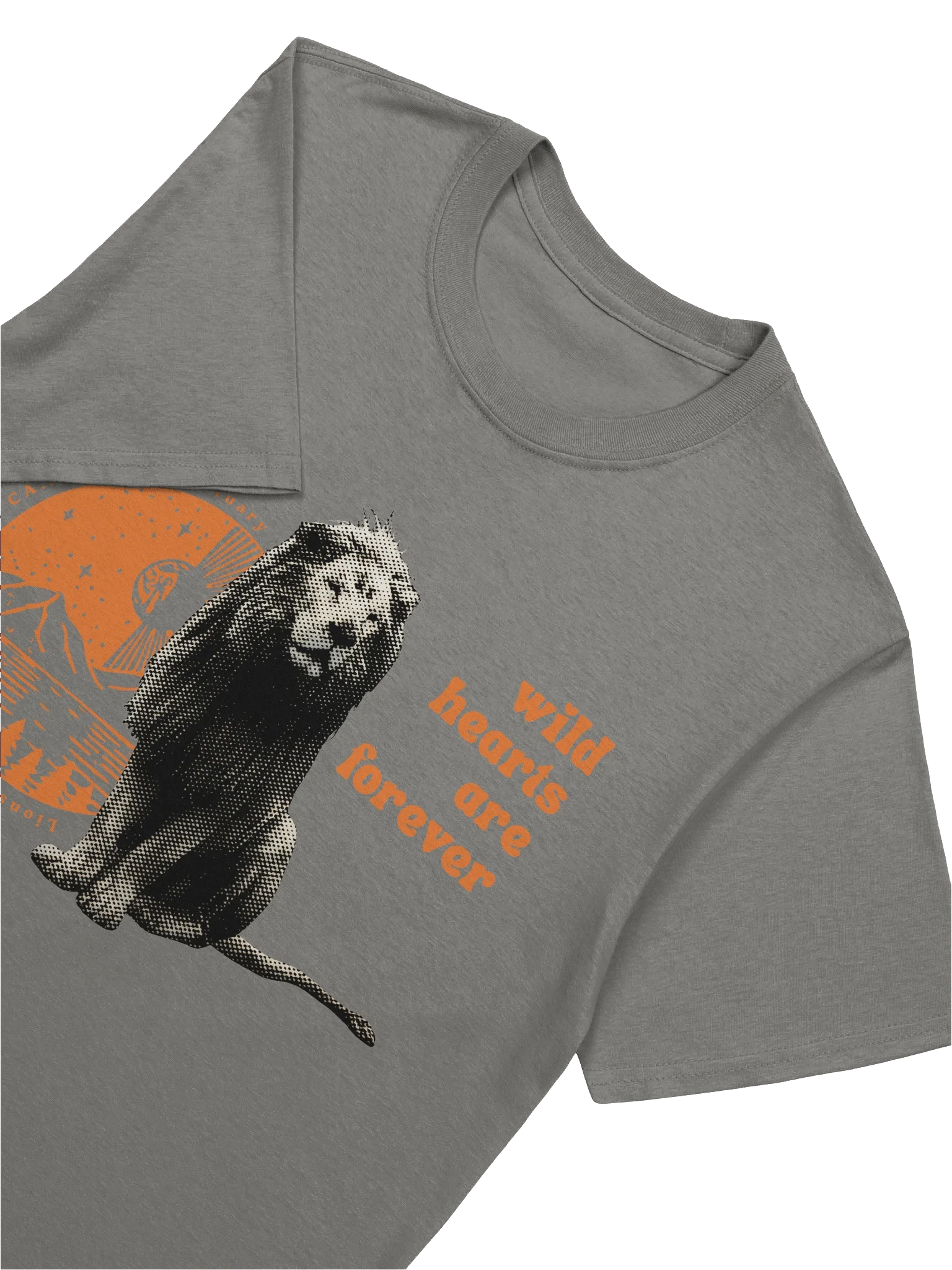 Wild Hearts Soft-style Tee product image (7)