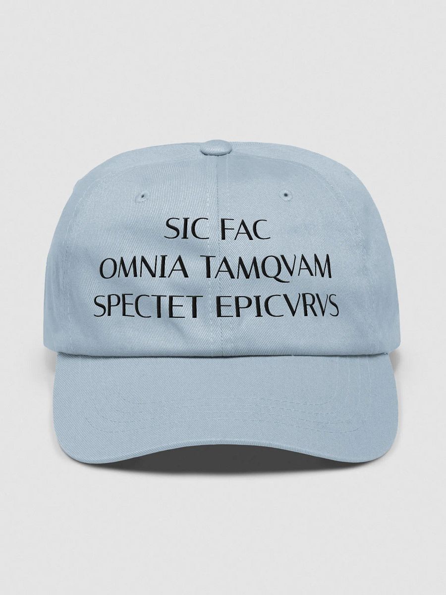 SFOTSE DARK (Classic Dad Hat) product image (50)