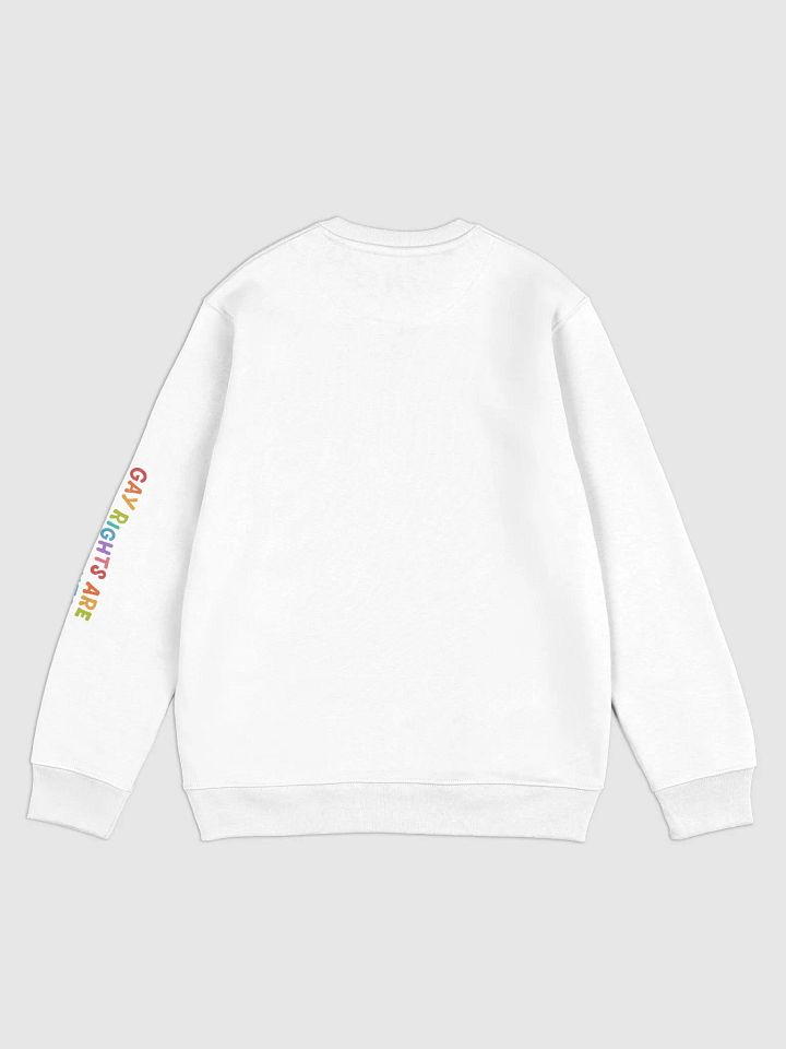 Gay Unisex Eco Sweatshirt product image (2)