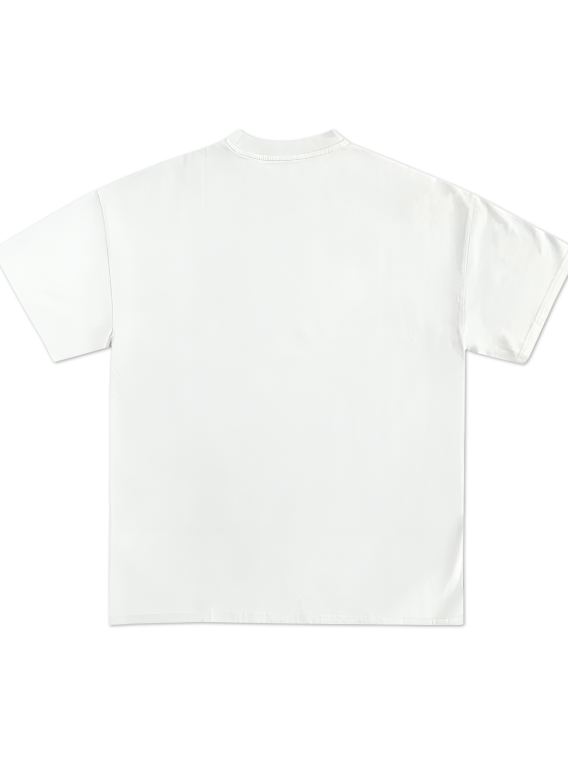 MICHEAL JORDAN GRAPHIC T-SHIRT (WHITE) product image (2)