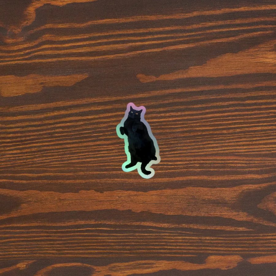 Cosmo Tummy (Holographic Sticker) product image (5)