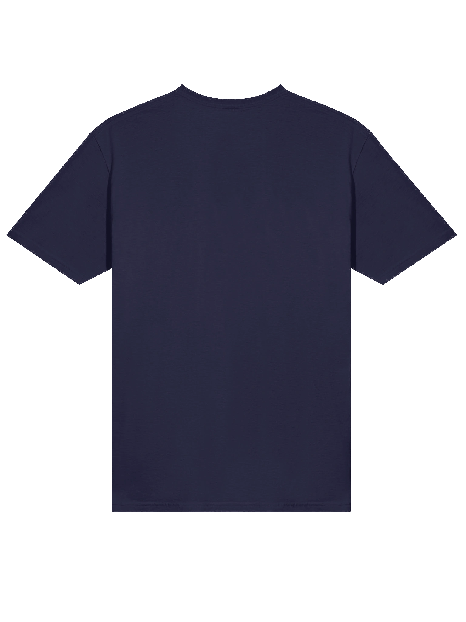 Unity in Diversity Flag Sphere T-Shirt product image (24)