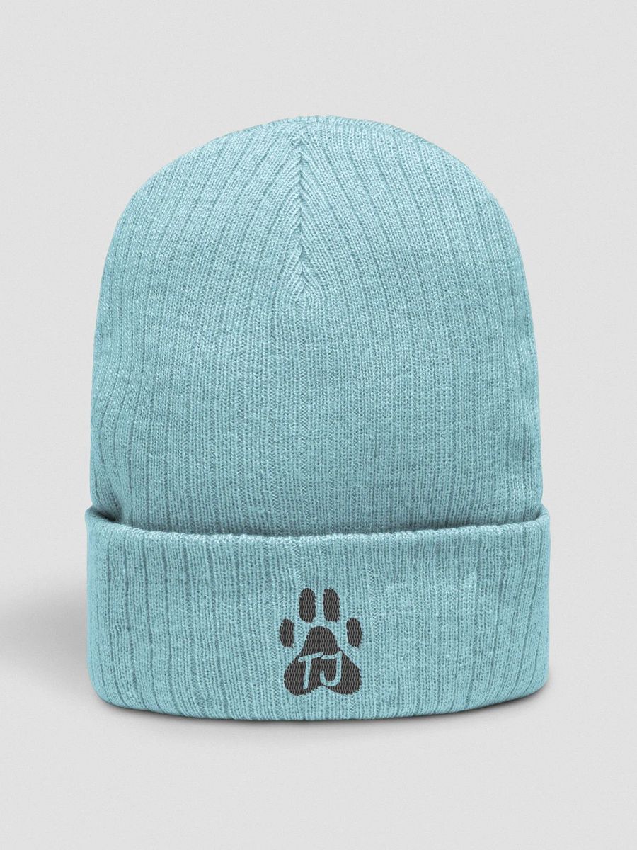 TJ Paw Recycled Cuffed Beanie (black detail) product image (6)
