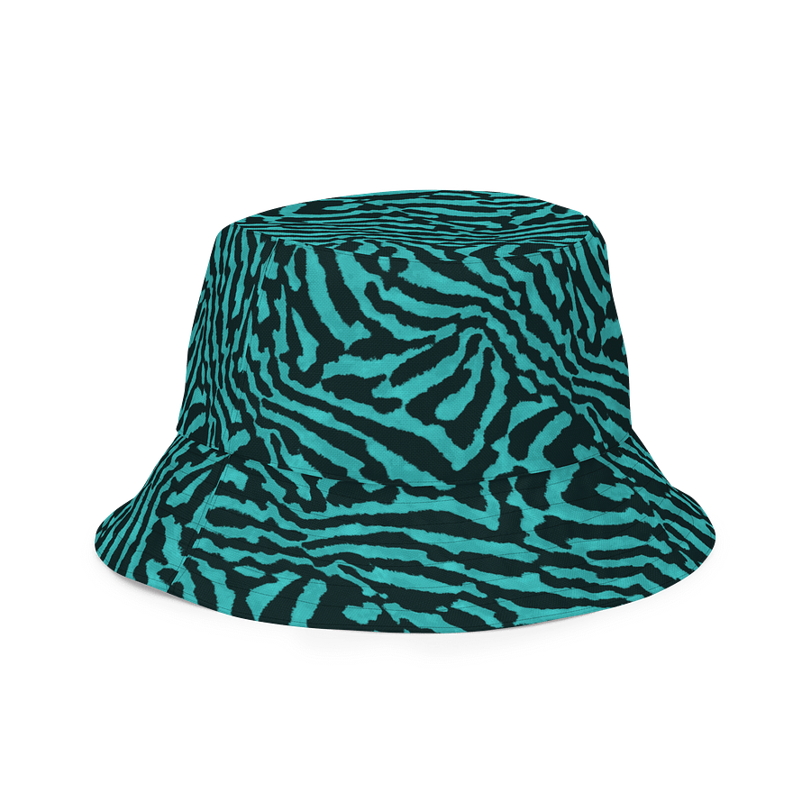 Teal Zebra Hat product image (3)