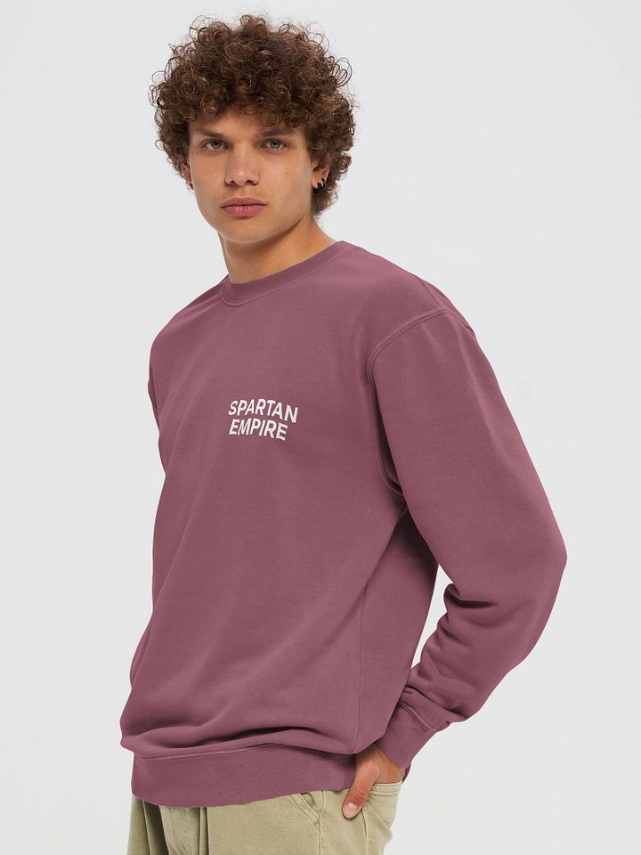 The Elite Sweater (Maroon / White) product image (2)