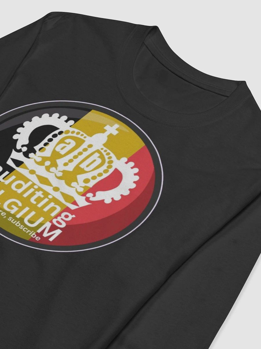 AUDITING BELGIUM product image (5)
