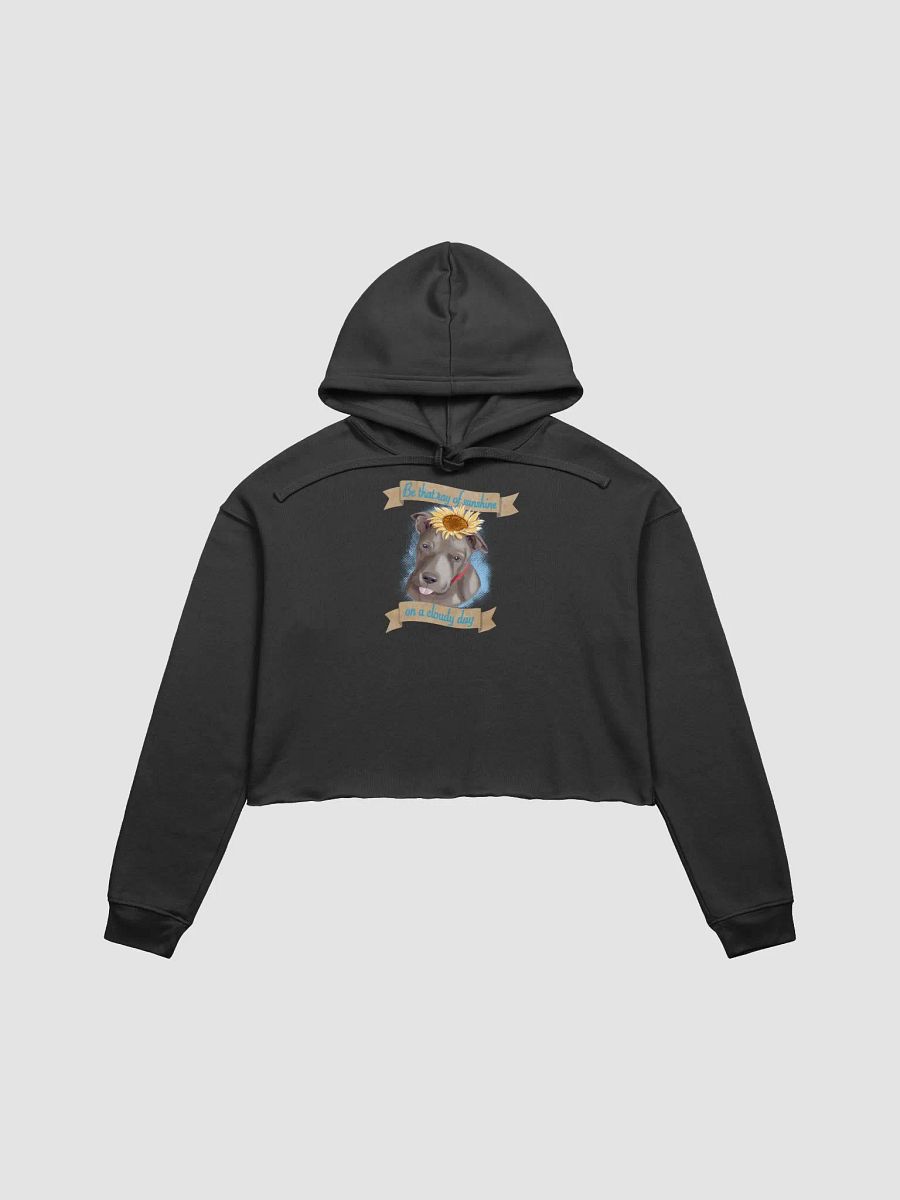 Sunny Cropped Hoodie product image (2)