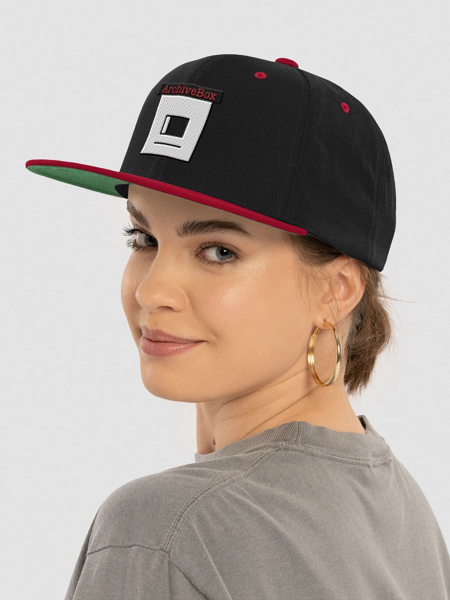 ArchiveBox Snap-Back Hat product image (5)