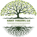 Haney Forestry