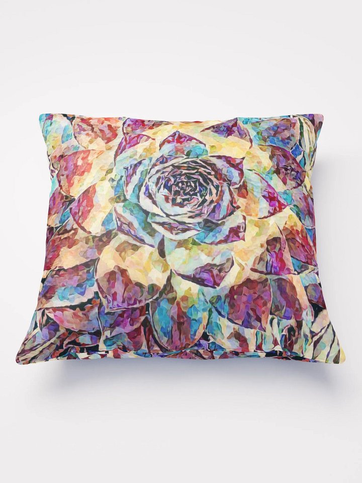 Abstract Graphic | Pillow 22