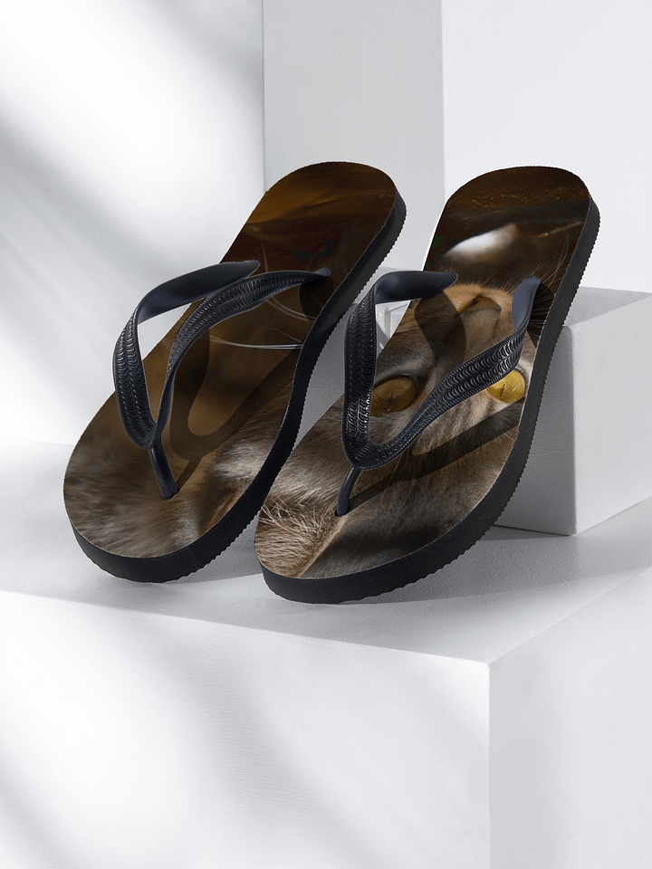 tabby Cat Eyes Flip-Flops product image (1)