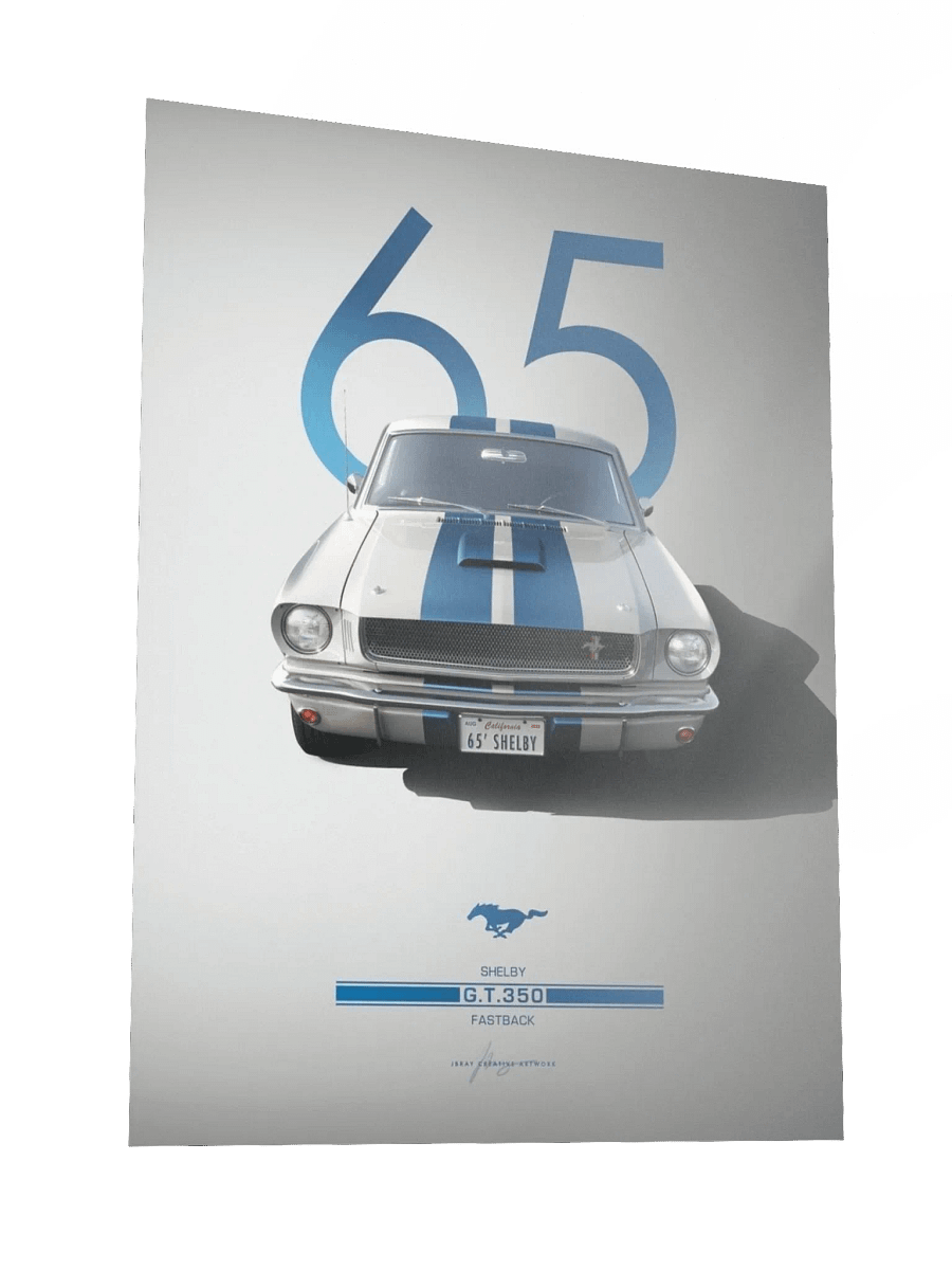 GT 350 product image (3)