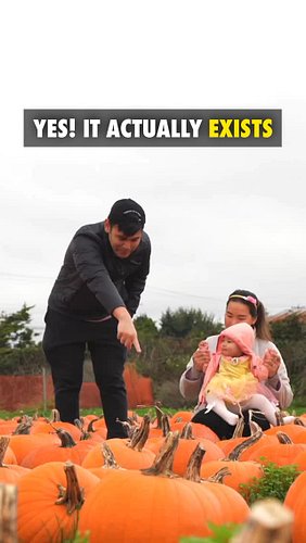 Looking for a free pumpkin patch in Metro Vancouver? 🎃 Vandula Farms in Delta is the perfect fall spot for families, couples,...
