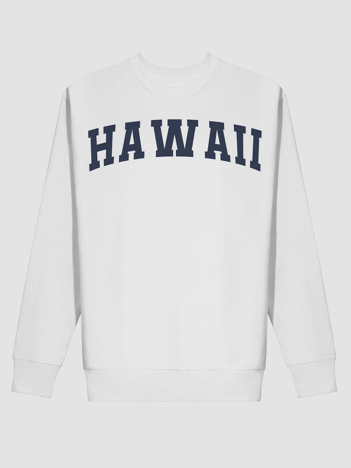 Hawaii Vintage Stylish Premium Sweatshirt product image (18)