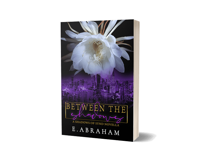 Between the Shadows Novella product image (1)