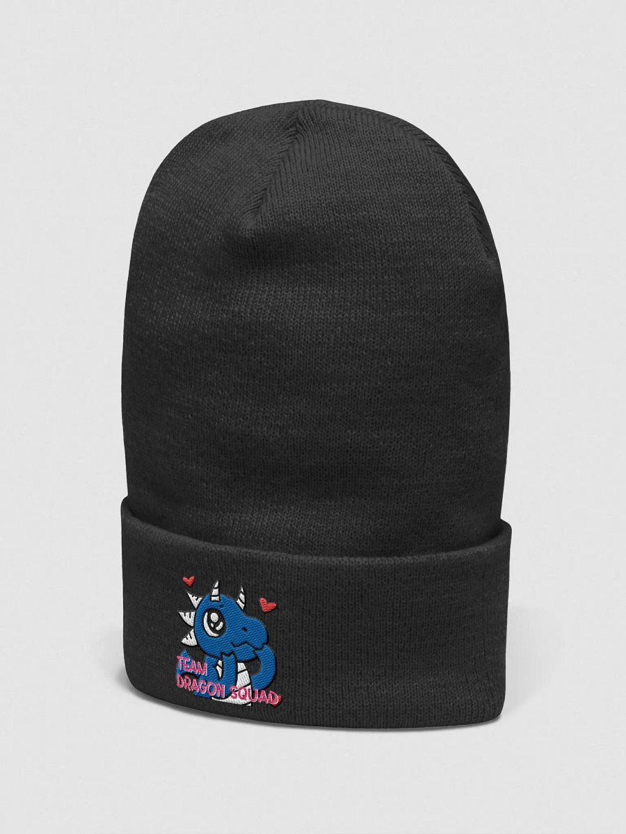 TEAM DS BEANIE product image (3)