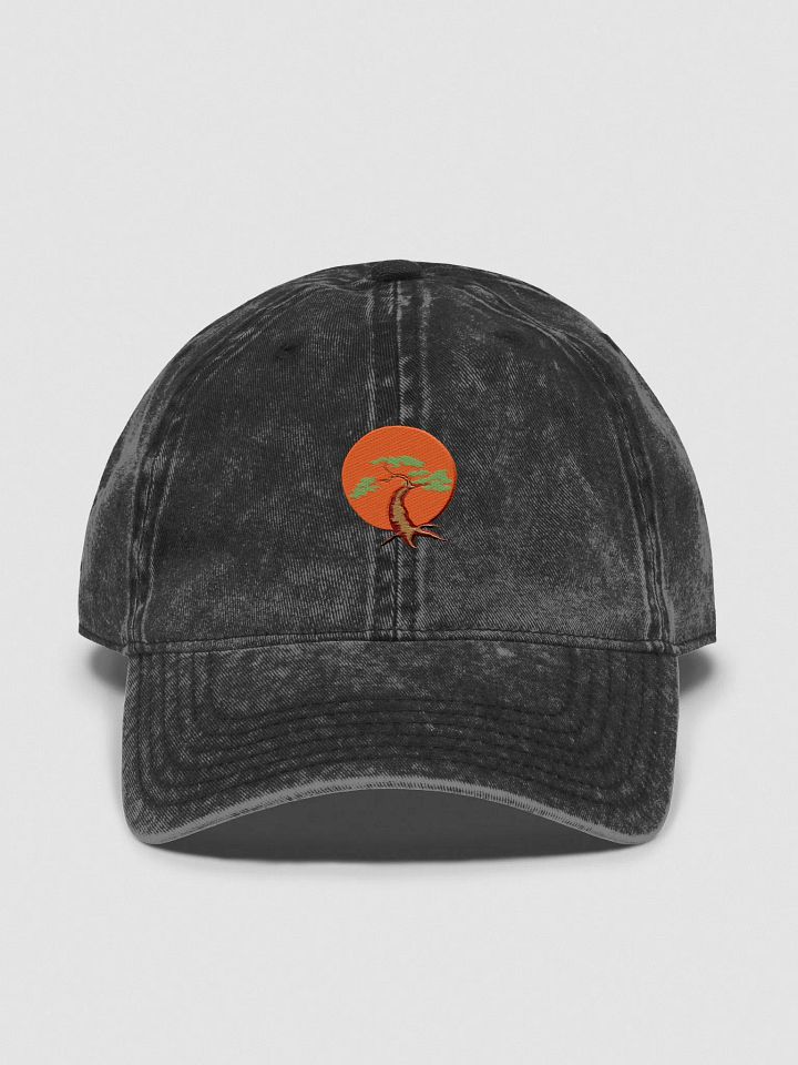 Retro Revival Vintage Dad Hat product image (1)