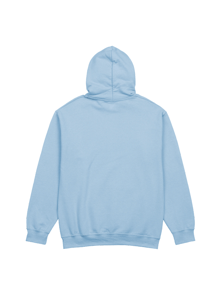 Embroidered HDNJ Hoodie product image (12)