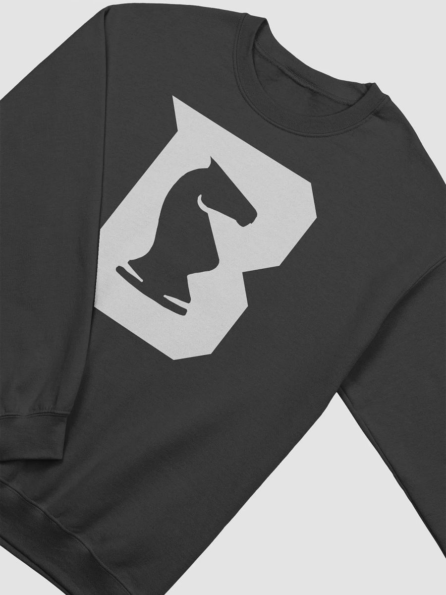 Iepe Rubingh Memorial Sweatshirt product image (3)