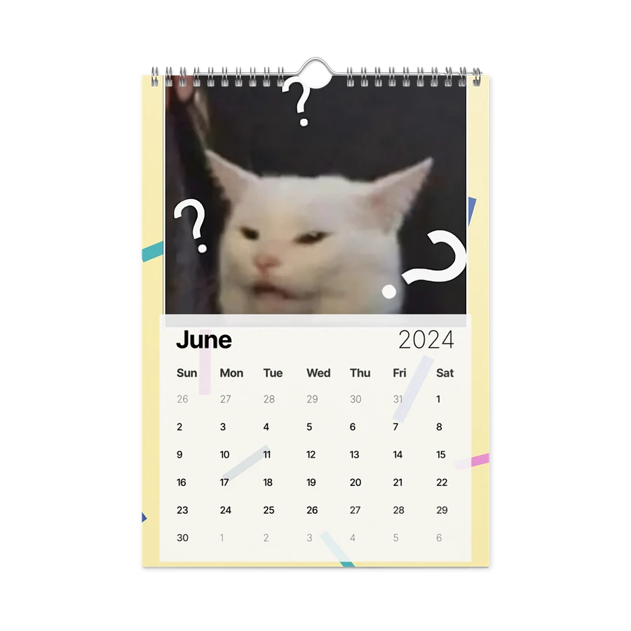 Wall Calendar (2024): Meme Cats product image (12)