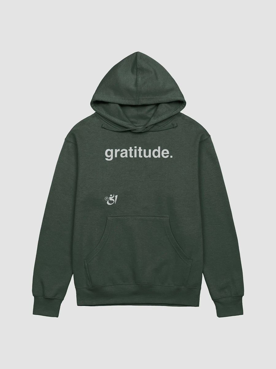 gratitude. hoodie product image (1)