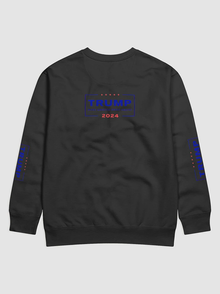 2024 American Campaign Sweatshirt product image (2)