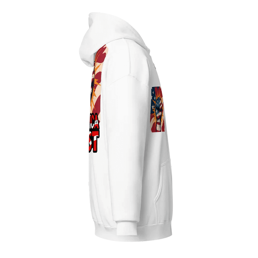 Zip Hoodie: America First product image (24)