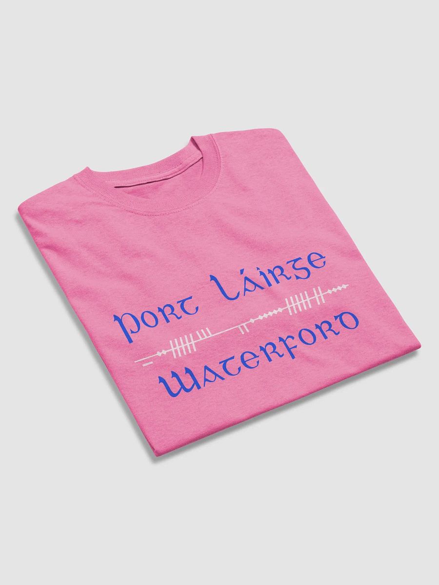 Waterford/Port Láirge Scholastic style Ogham Printed T-shirt product image (3)