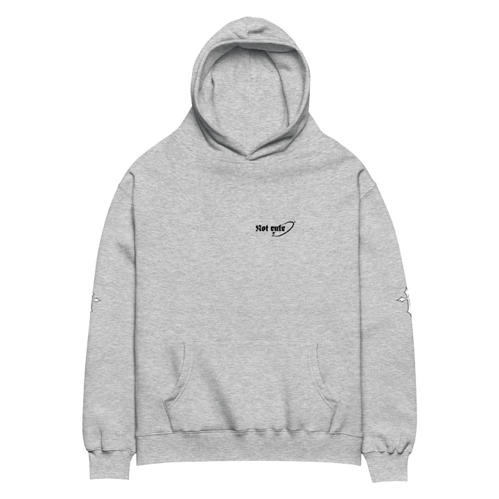 Premium Oversized Hoodie product image (4)