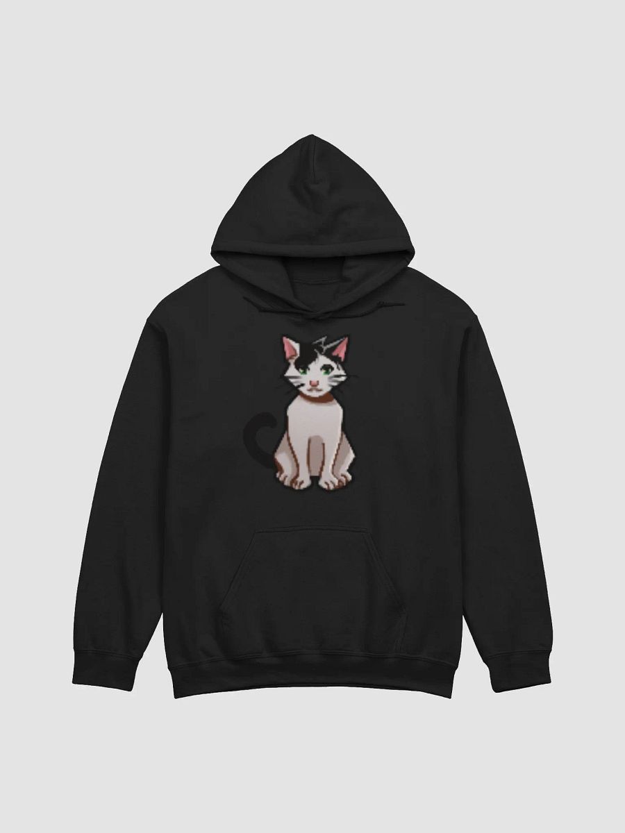 Harvey Hoodie product image (1)