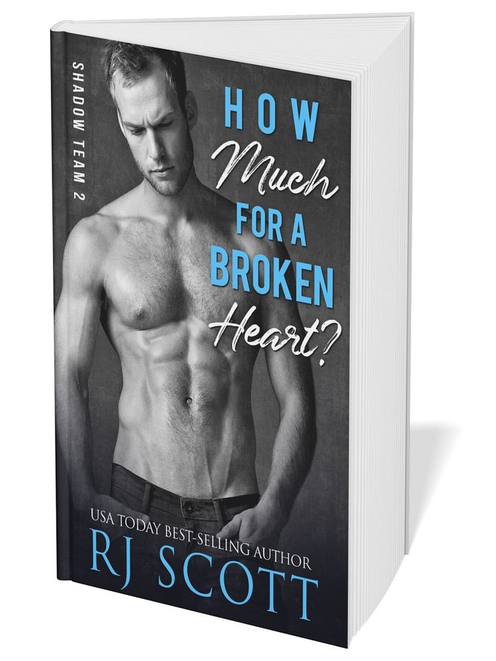How Much For A Broken Heart? (Shadow Team 2) - paperback product image (1)