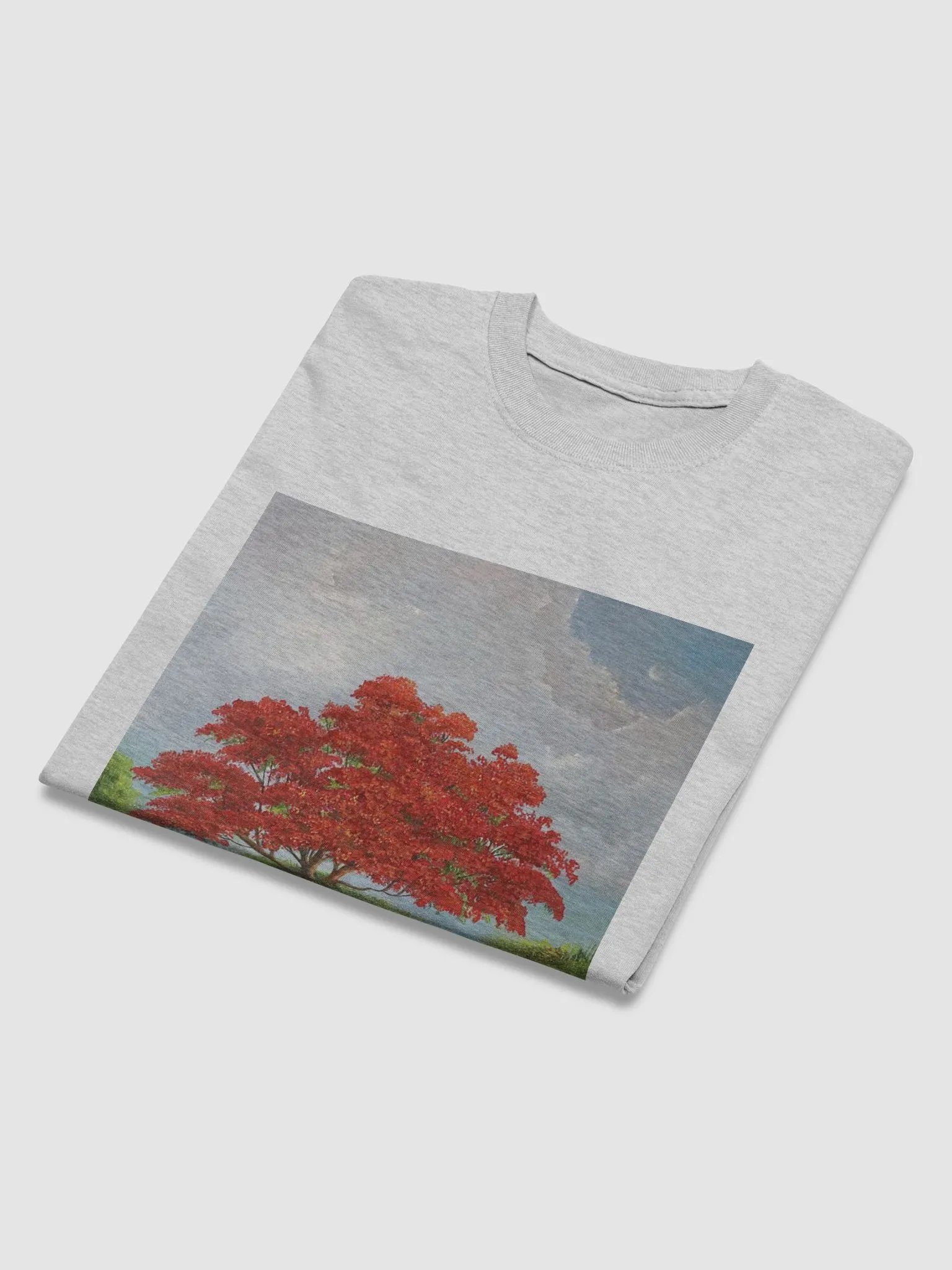 Flamboyant Rojo product image (4)