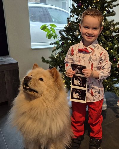 Merry Christmas!