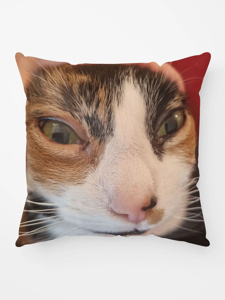 Rosie Looking Like A Stupid Fucking Idiot Pillow product image (4)