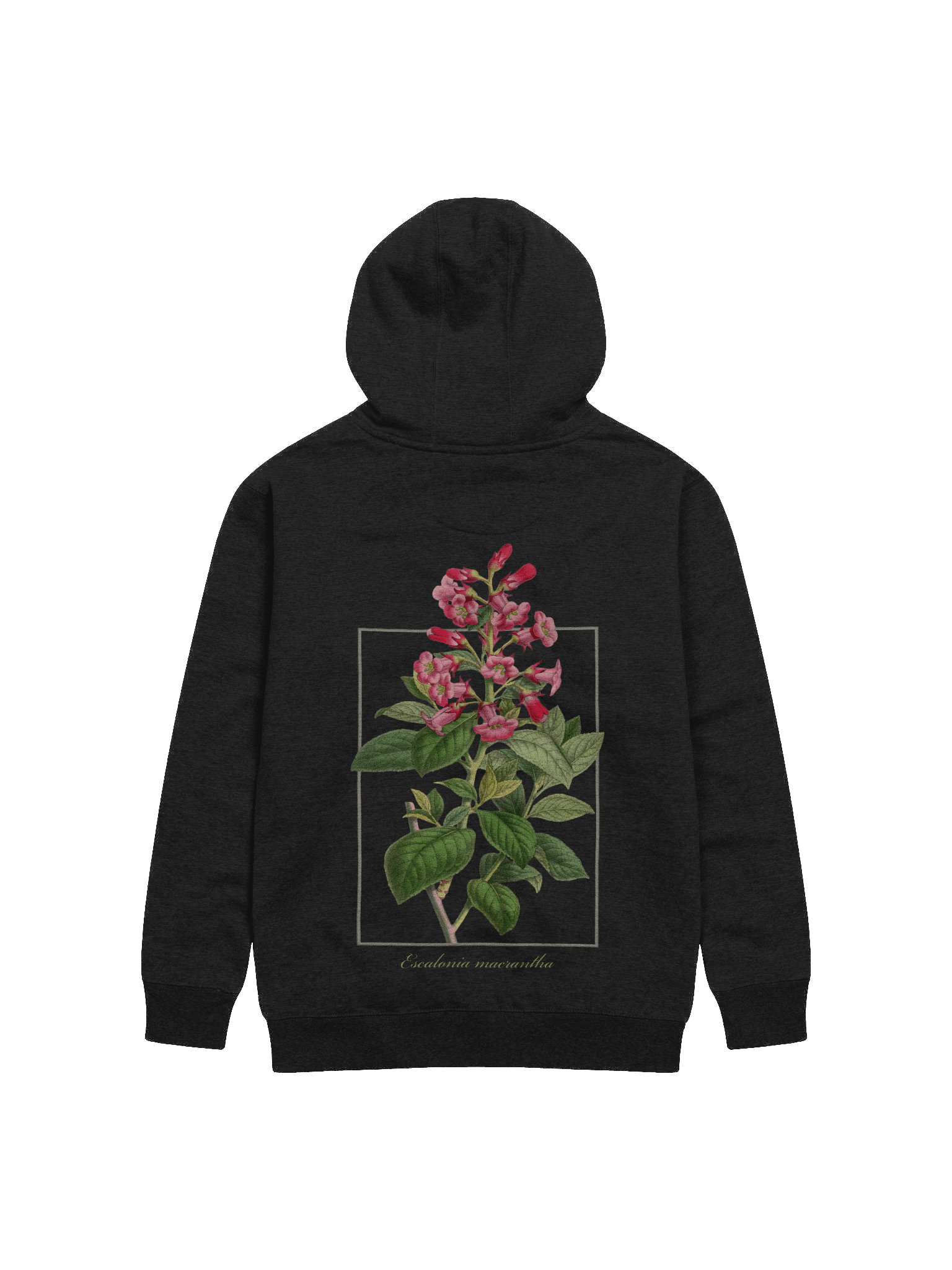 Escalonia macrantha Premium Adult Unisex Hoodie product image (1)