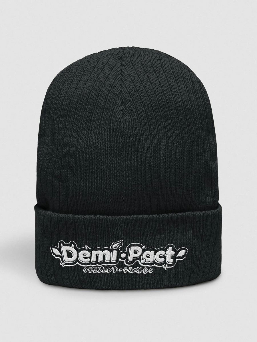 Agency Logo Beanie product image (2)